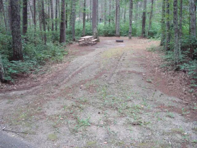 site 36