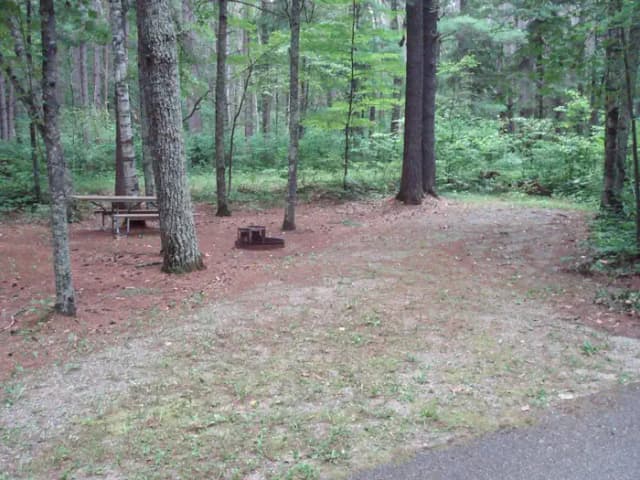 site 37