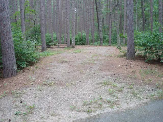 site 38