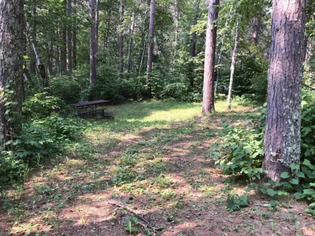 Site 1