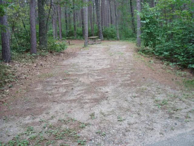 site 39