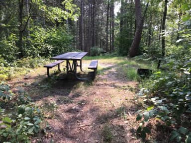 SIte 2