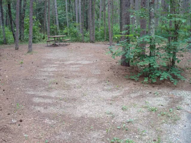 site 40