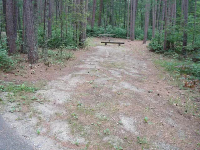 site 41