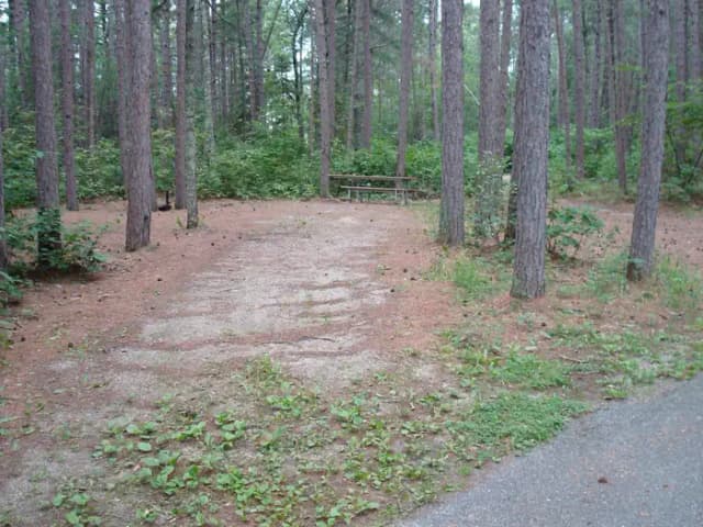site 42