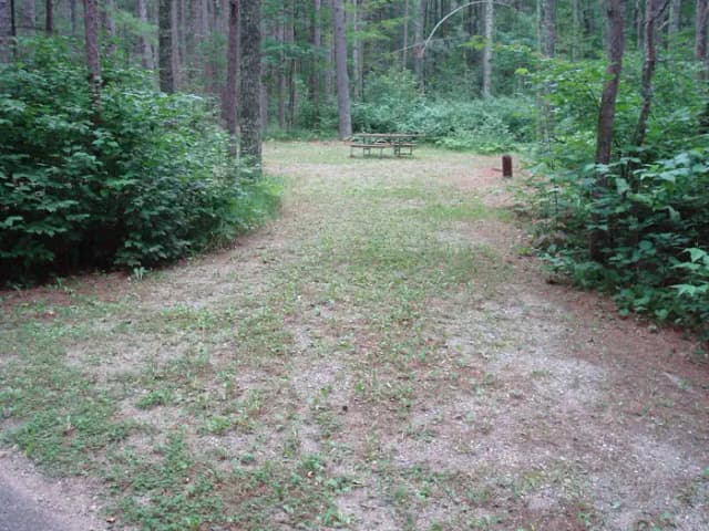 site 43
