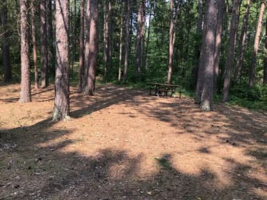 Site 4