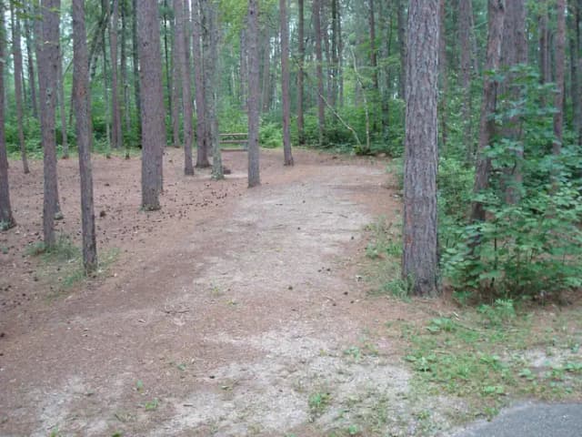 site 44