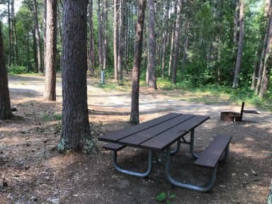 Site 5