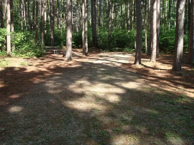 site 48