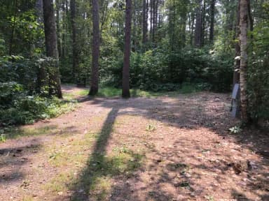 Site 6