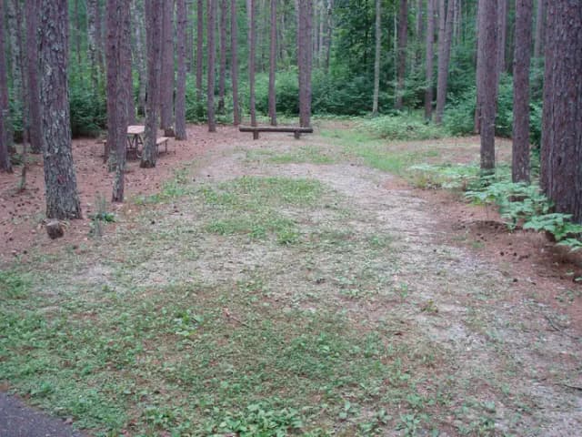 site 49
