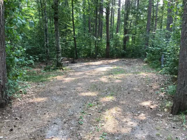 Site 7