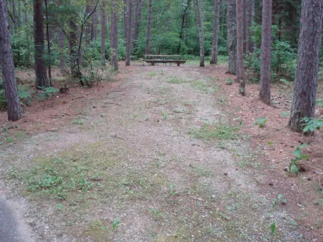 site 51