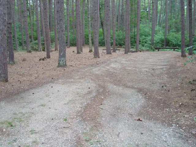 site 50