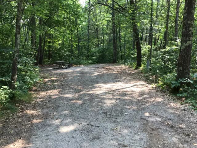 Site 8