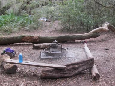 campsite with fire ring surrounded by palmettos, under live oak branches
