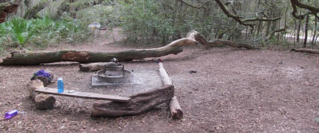campsite with fire ring surrounded by palmettos, under live oak branches