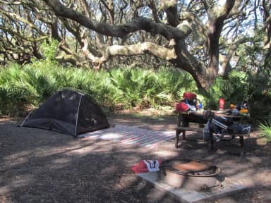 campsite with picnic table, food cage, and fire ring under live oak trees
