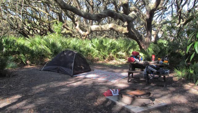 campsite with picnic table, food cage, and fire ring under live oak trees