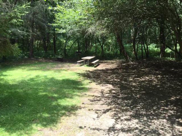 Buckaloons Site 43