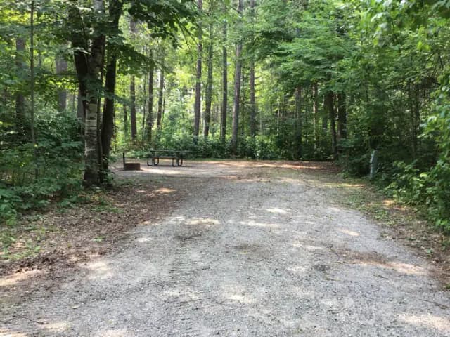Site 9
