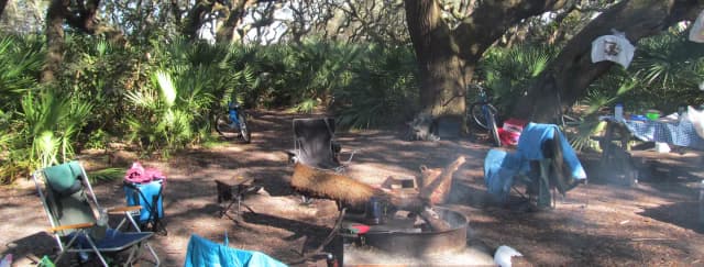 campsite with picnic table, food cage, and fire ring under live oak trees