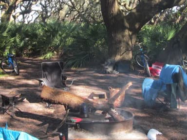 campsite with picnic table, food cage, and fire ring under live oak trees