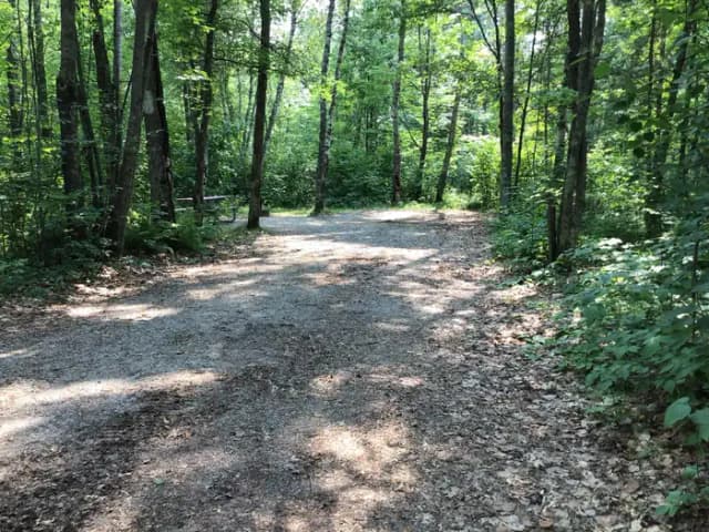 Site 13