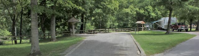 Site 10