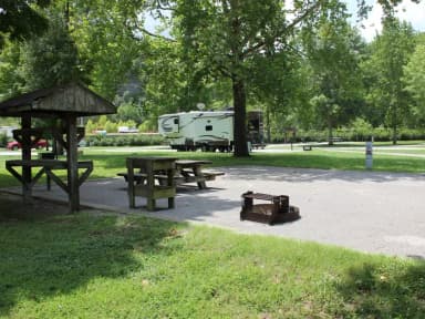 Site 11