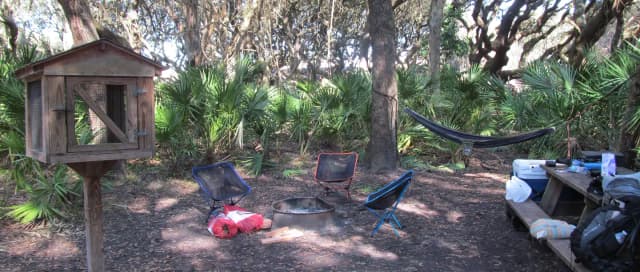 campsite with picnic table, food cage, and fire ring under live oak trees