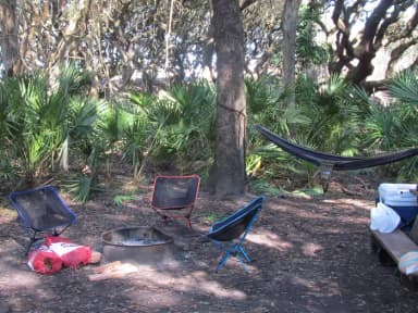 campsite with picnic table, food cage, and fire ring under live oak trees