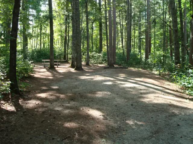 site 80
