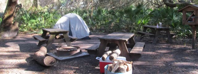 campsite with picnic table, food cage, and fire ring under live oak trees