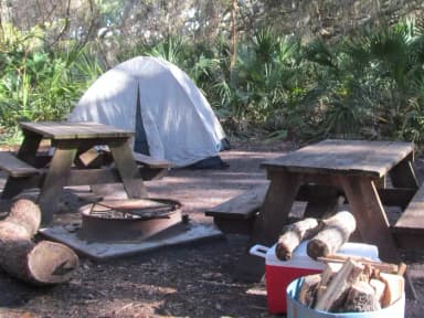 campsite with picnic table, food cage, and fire ring under live oak trees