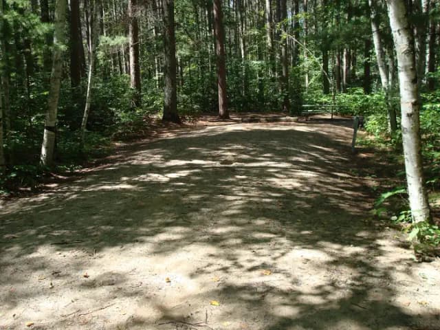 site 83