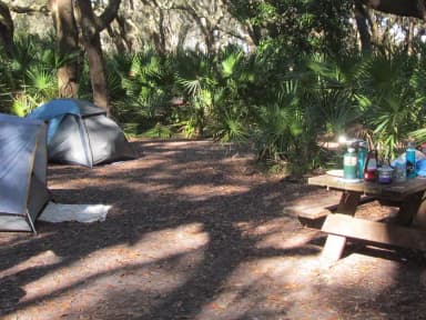 campsite with picnic table, food cage, and fire ring under live oak trees
