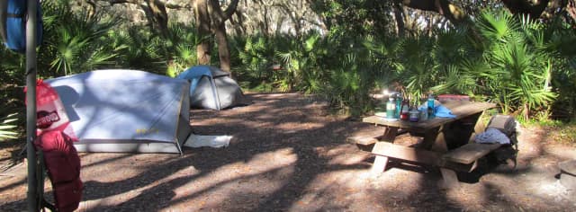 campsite with picnic table, food cage, and fire ring under live oak trees