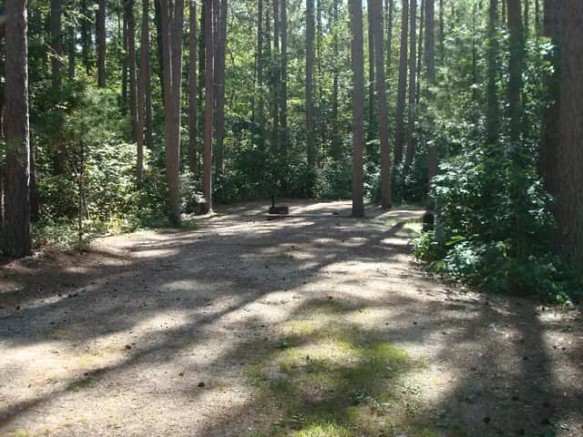 site 90