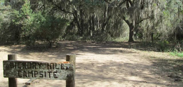 open campsite under live oak canopy