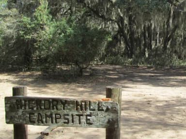open campsite under live oak canopy