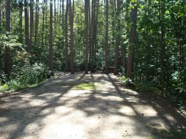 site 91