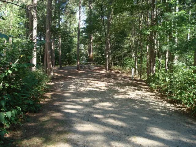 site 92