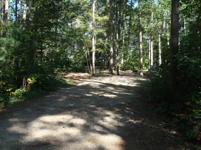 site 94