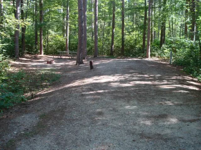 site 105