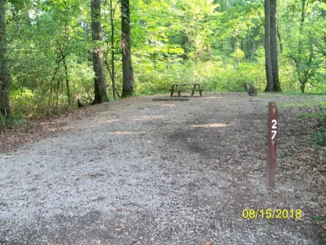 Oak 27