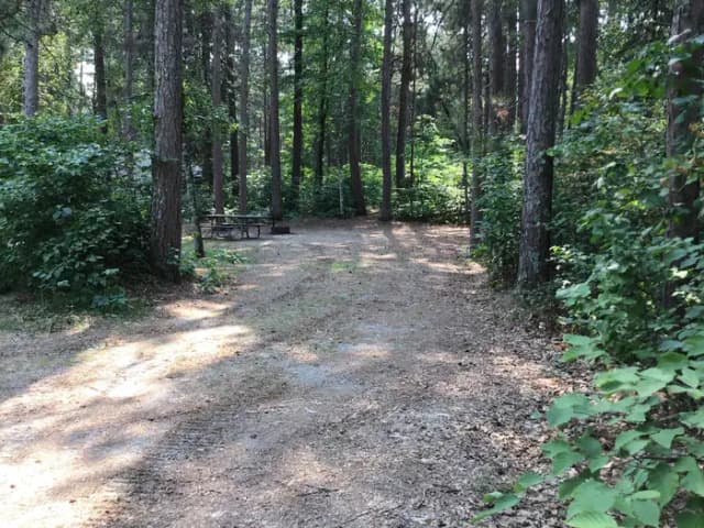Site 23