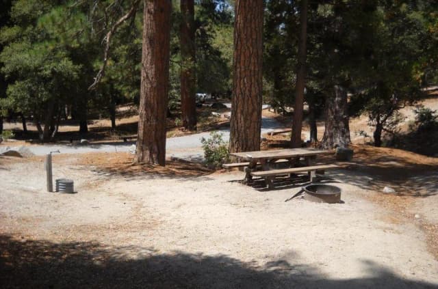 Picnic area with fire pit.
