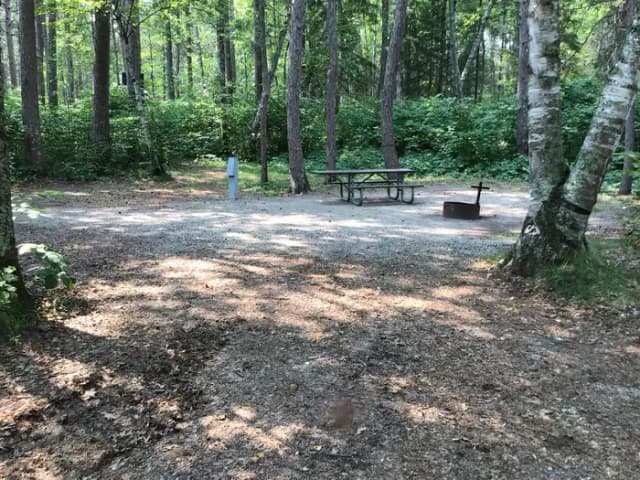 Site 25